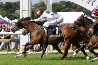 Speech Craft takes out the Hallmark Stud Handicap. Photo: Trish Dunell